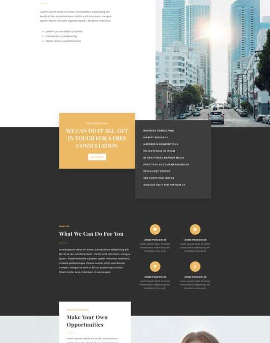 Business Consultant