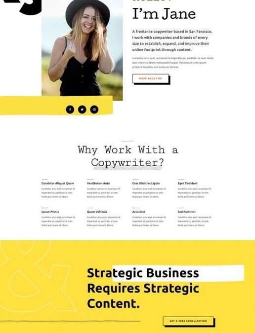 Freelance Writer