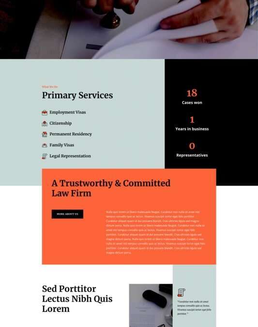 Immigration Lawyer