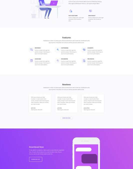 Software Marketing