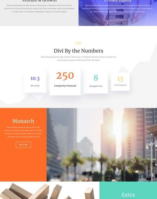 Venture Capital Firm
